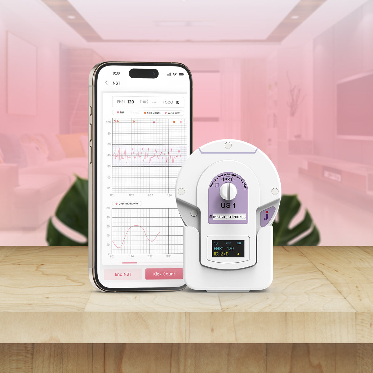 Keyar DT Lite - Home NST for high risk mothers